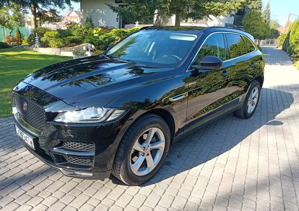 Jaguar F-Pace cena 126500 przebieg: 87500, rok produkcji 2019 z Brzesko